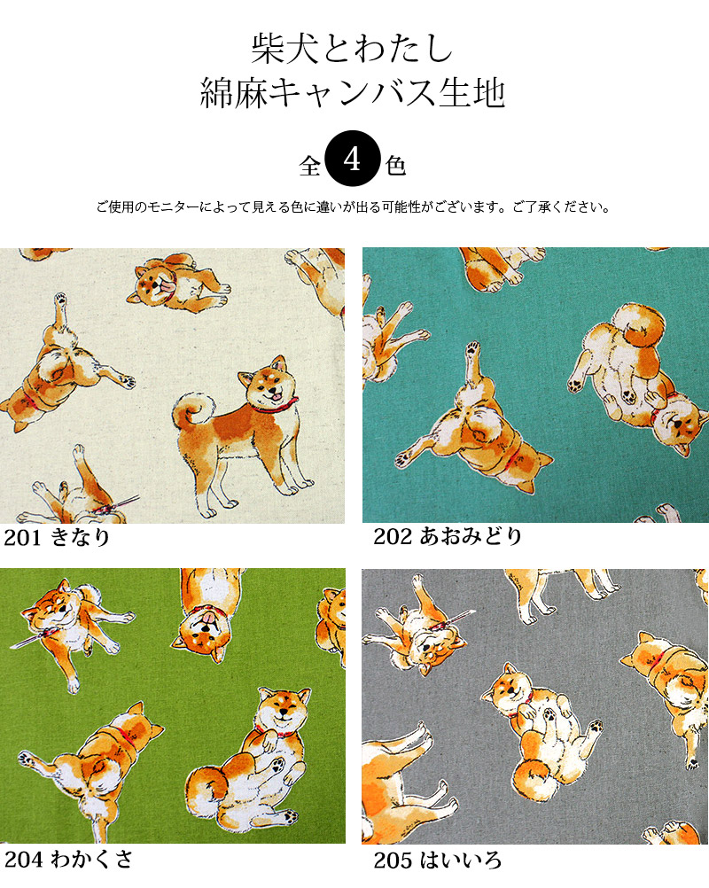 カラー