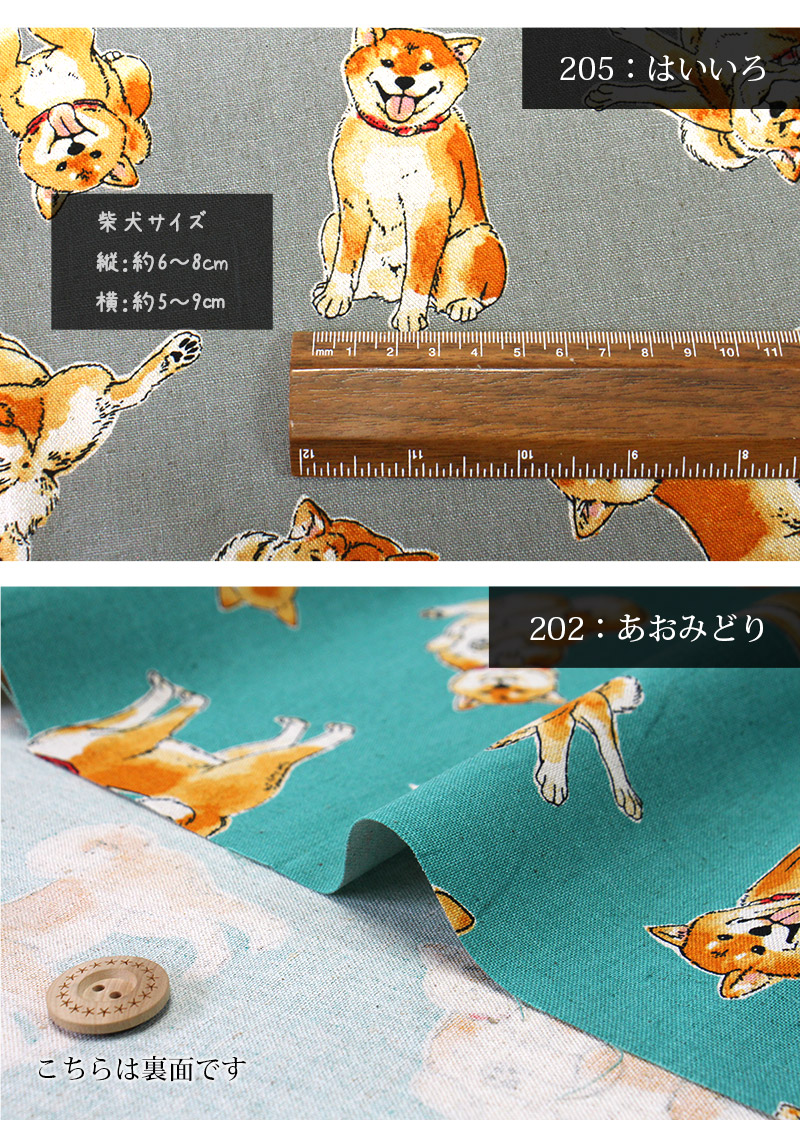 詳細
